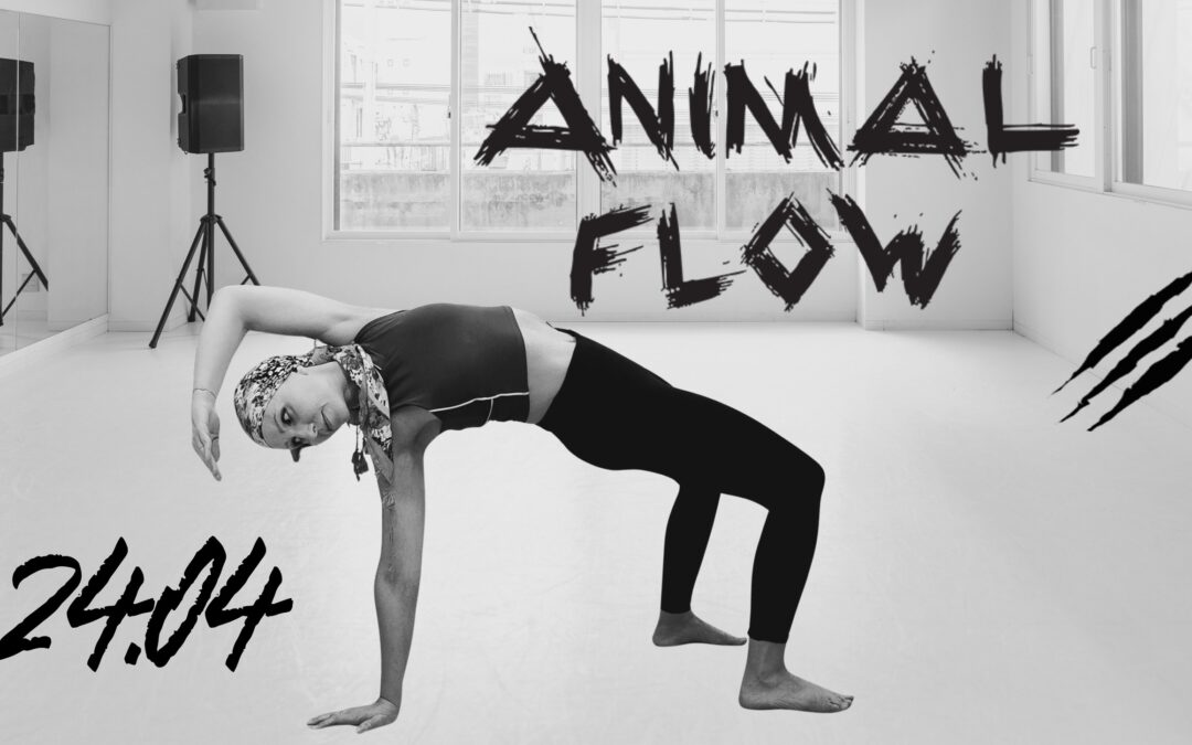 Lekcja wprowadzająca do Animal Flow