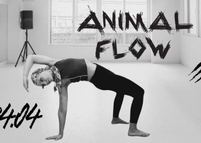 Lekcja wprowadzająca do Animal Flow